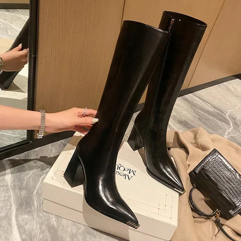 Pointed Toe High Heel Boots