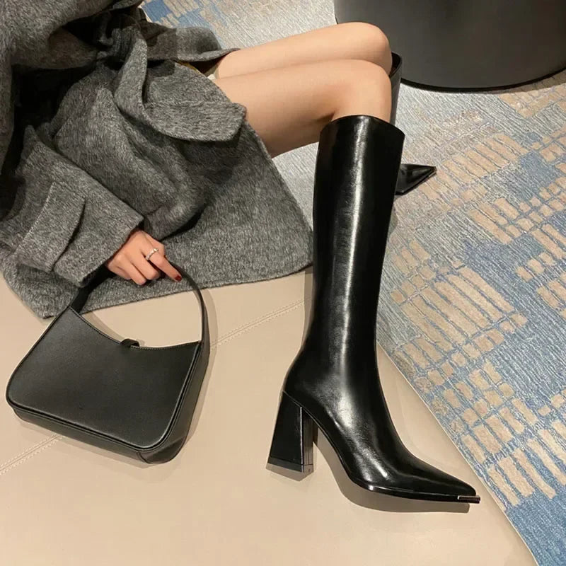 Pointed Toe High Heel Boots
