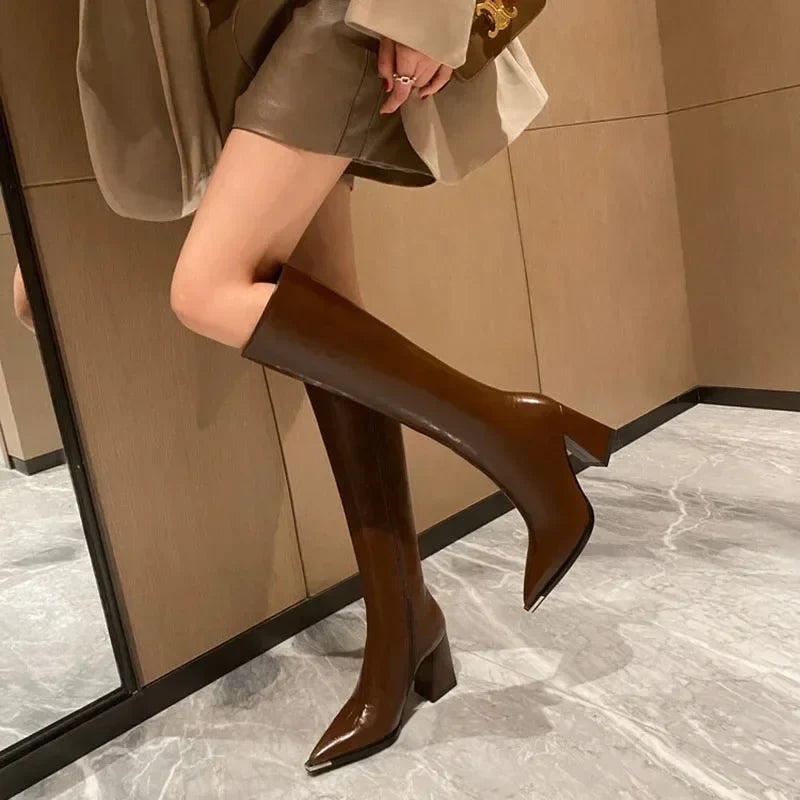 Pointed Toe High Heel Boots