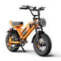 Fat Tire Electric Bike for Adults All-Terrain Dual Suspension