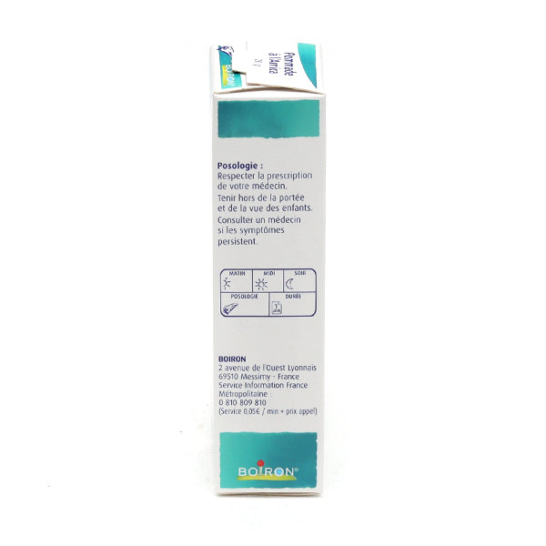 Boiron Arnica Pommade Homeopathic Ointment