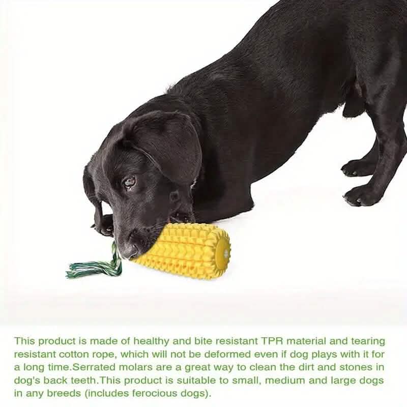 Puppy Dog Teeth Chew Squeaky Interactive Corn Toy